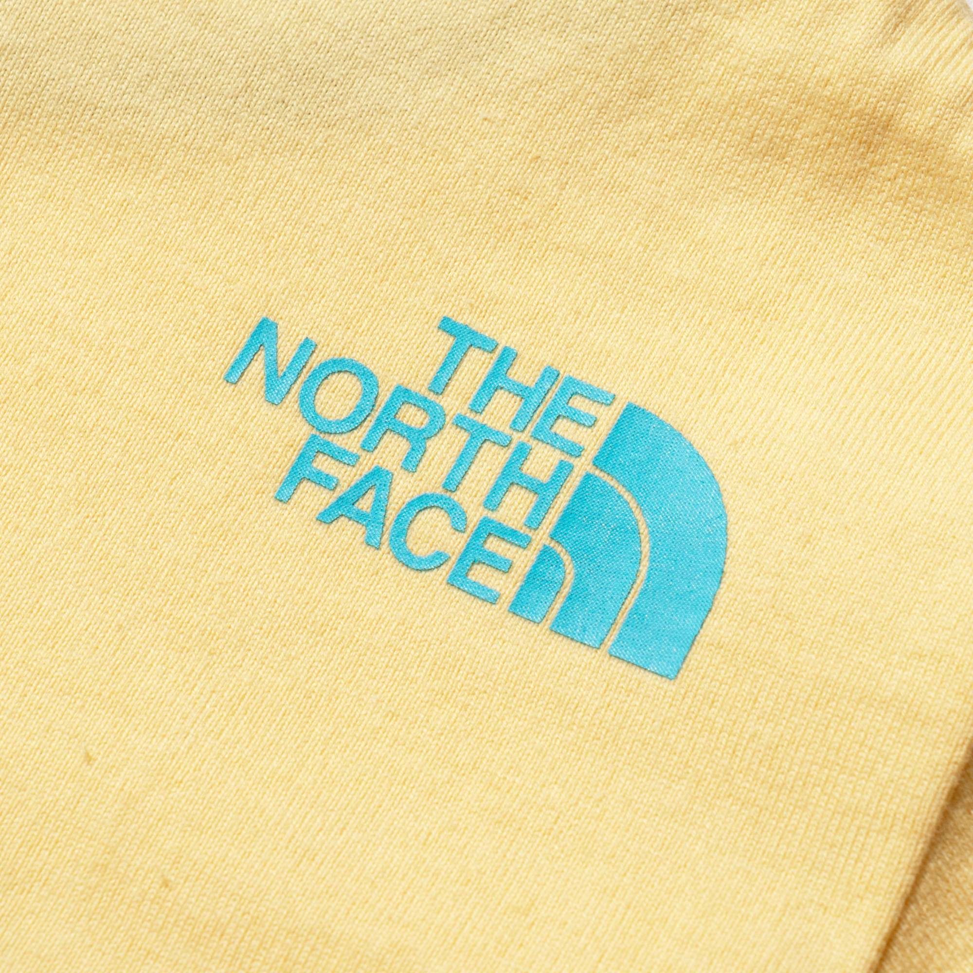 ショートスリーブサザンライフリンガーティー（ベビー） THE NORTH FACE（THE NORTH FACE）のTシャツ通販